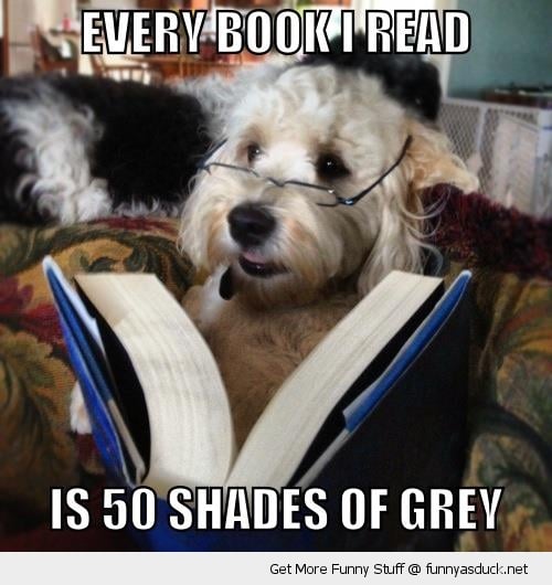 Dog reading