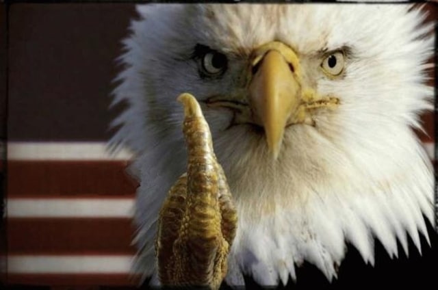 Eagle middle finger