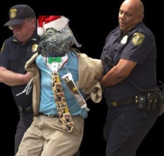 Lizard squad busted