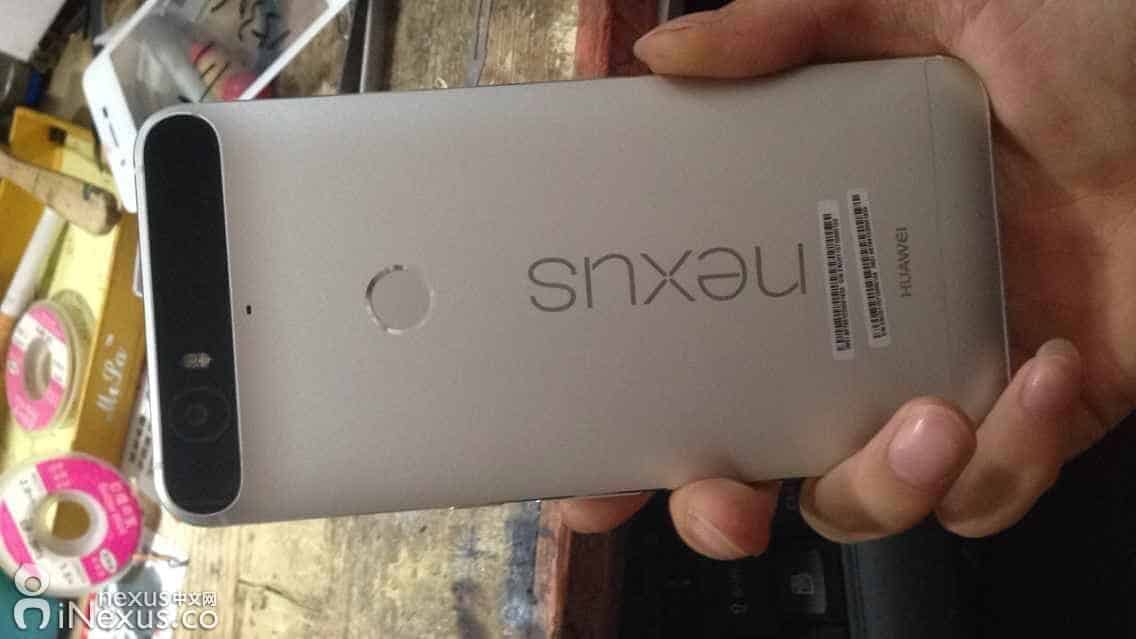 Nexus Leak Back