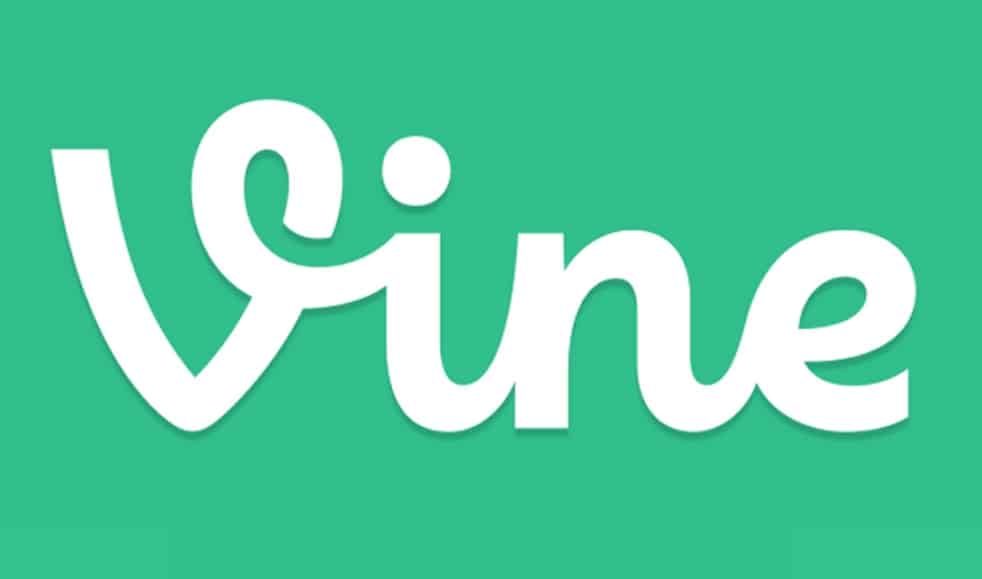 Vine