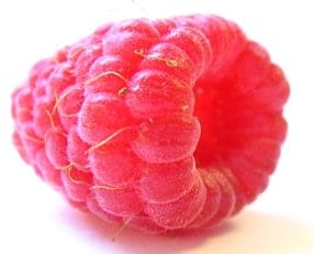 raspberry