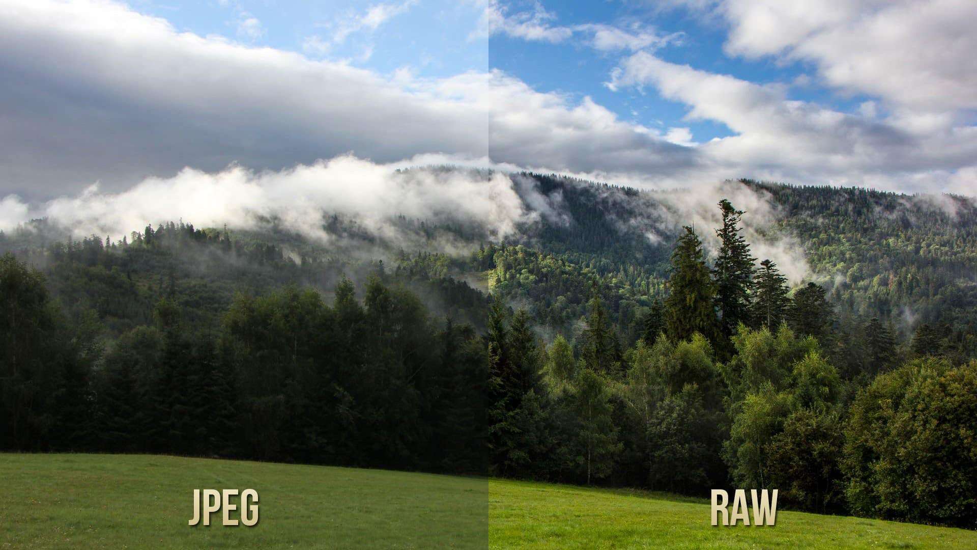 This is the difference between a RAW and JPEG file format - KnowTechie