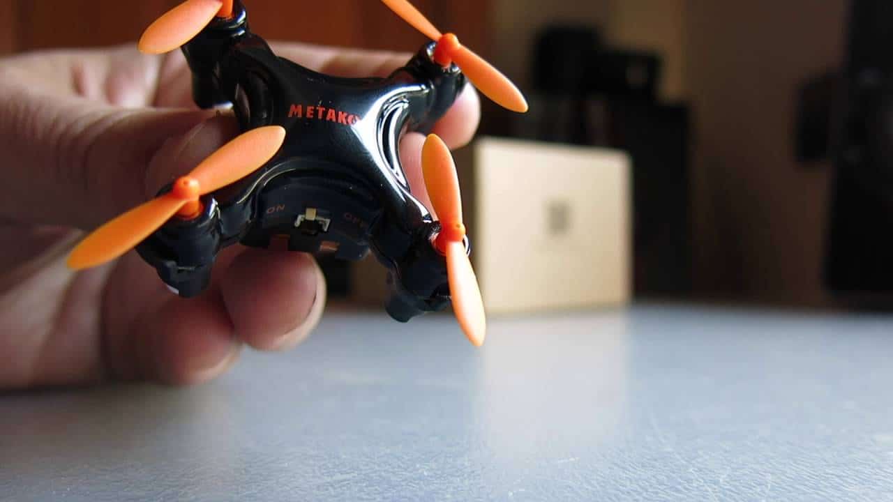 Metakoo bee