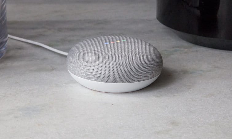 Home mini google