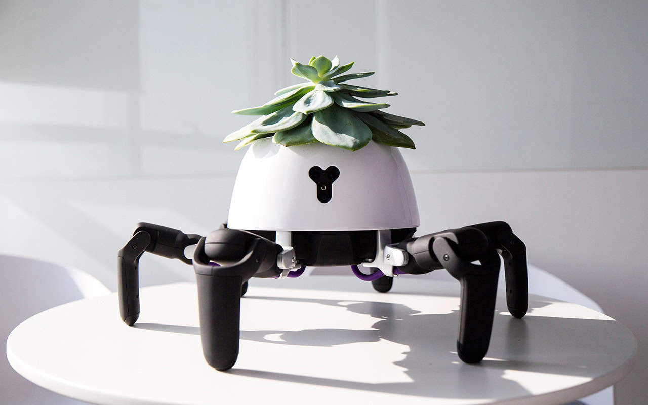 Plant buddy robotic