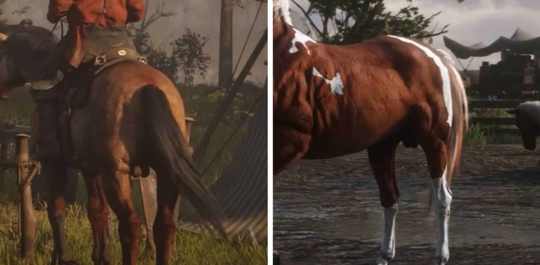 Red dead redemption horse balls