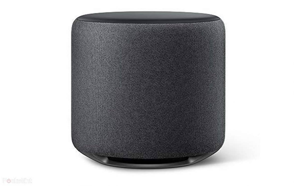 Amazon echo subwoofer and smart plug leak