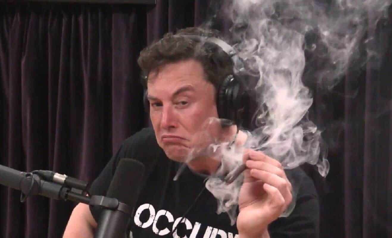 elon musk smoking weed while employees quit