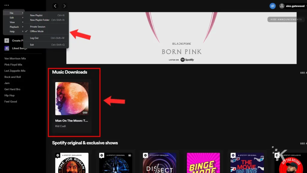 spotify desktop downloads in offline mode