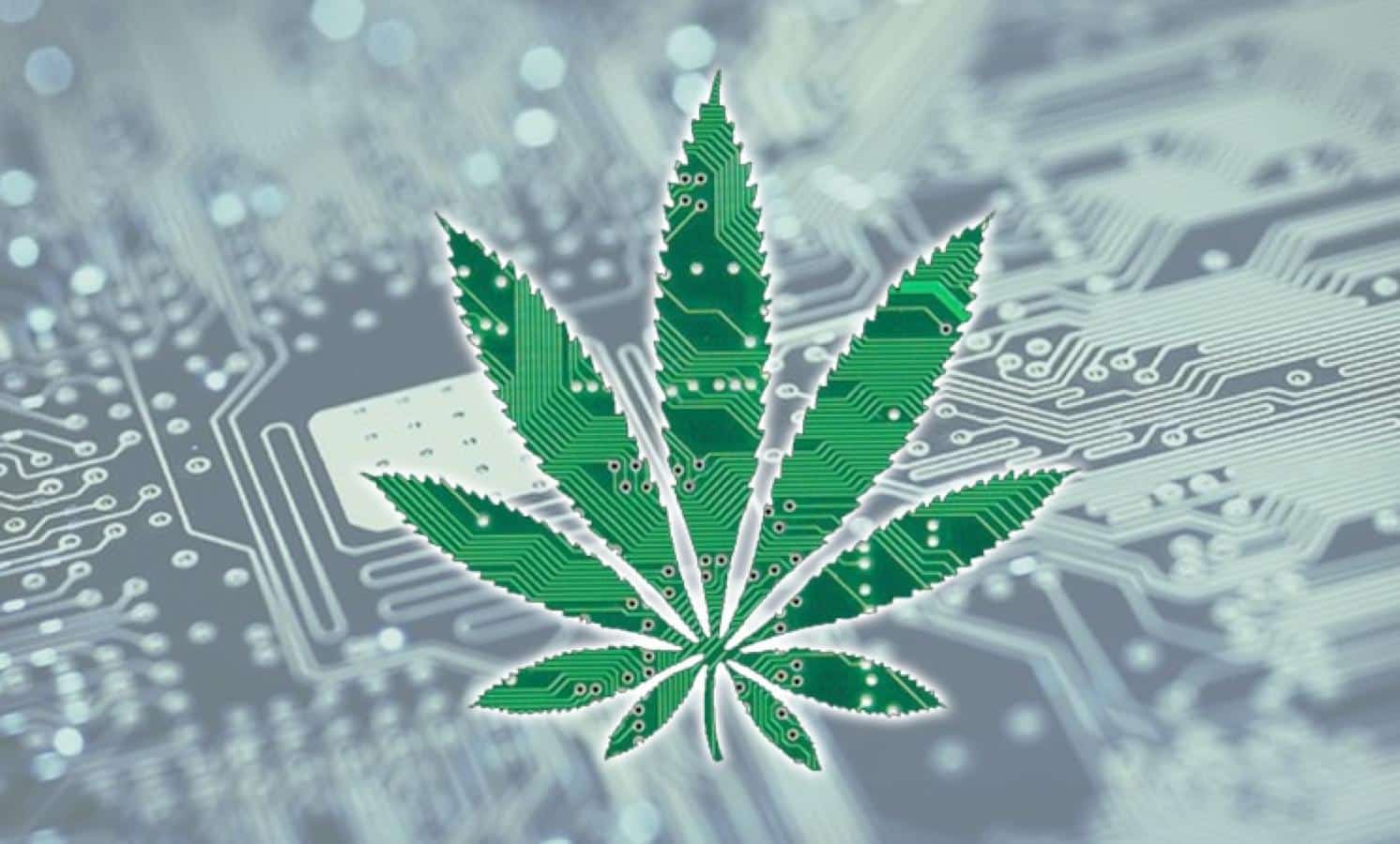 Cannabis technology