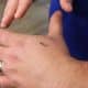 Microchips in employees