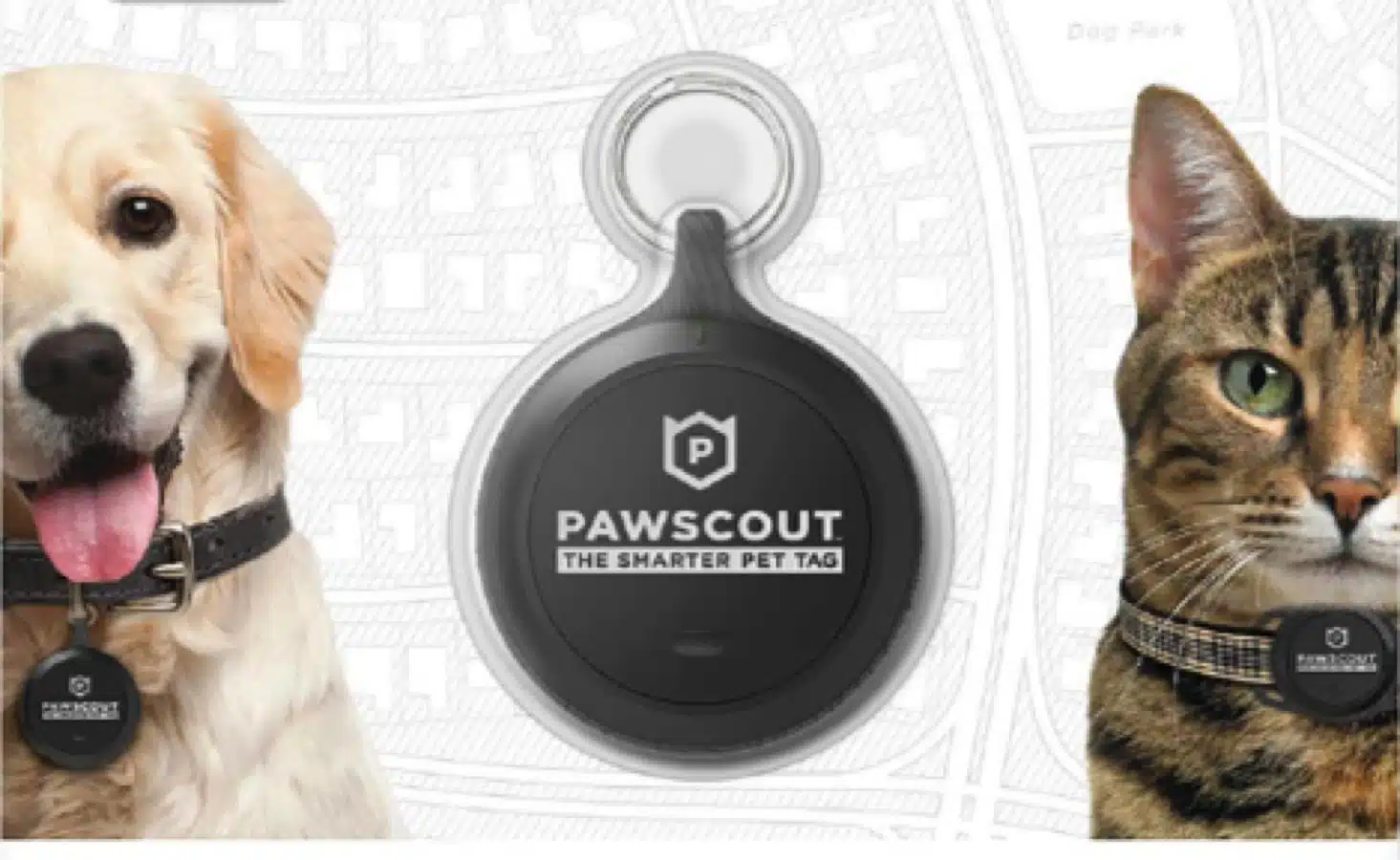pawscout
