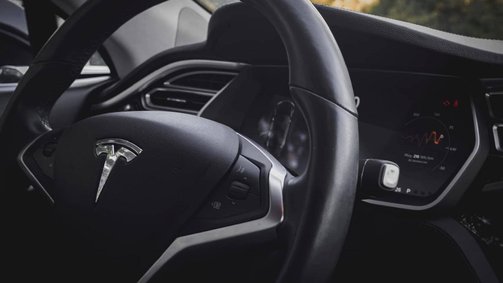 tesla steering wheel