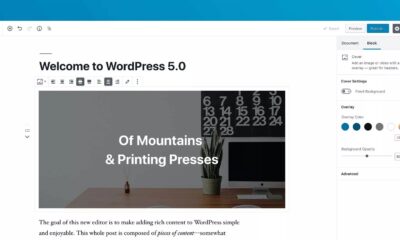 wordpress 5.0 screen