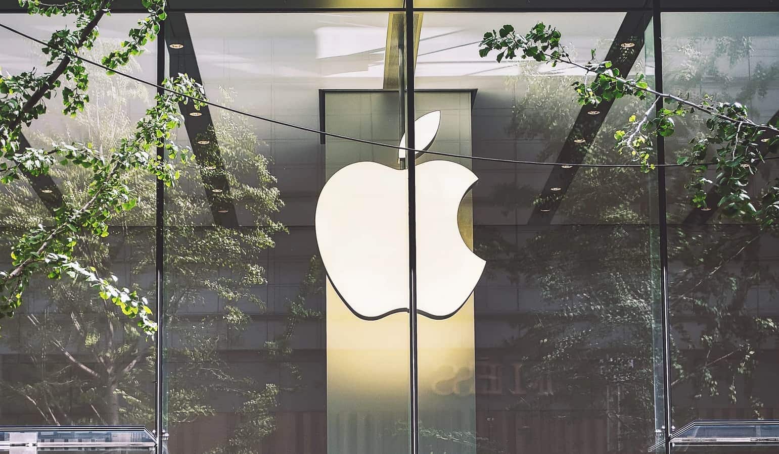 Apple logo in window