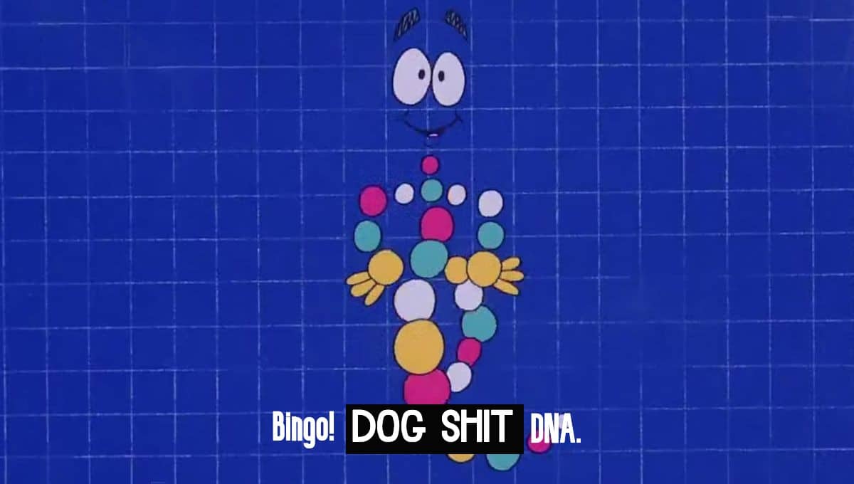 Mrdna dog shit