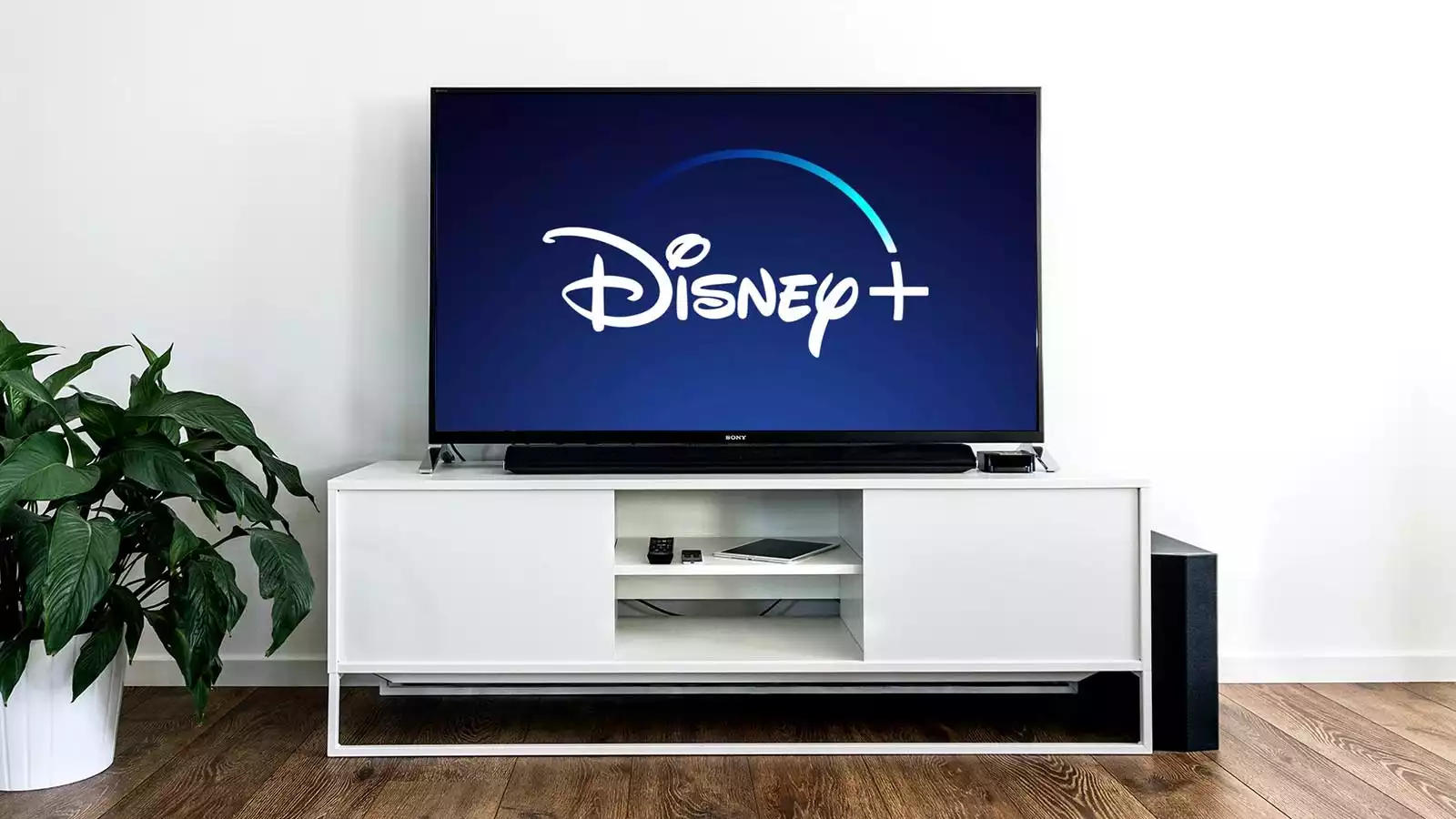 Disney plus on television