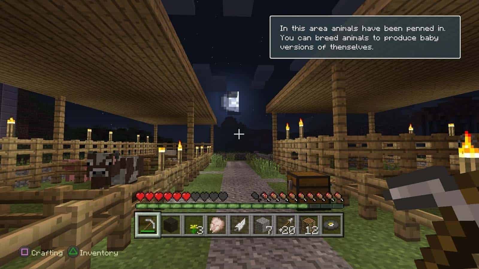 Minecraft on playstation 4