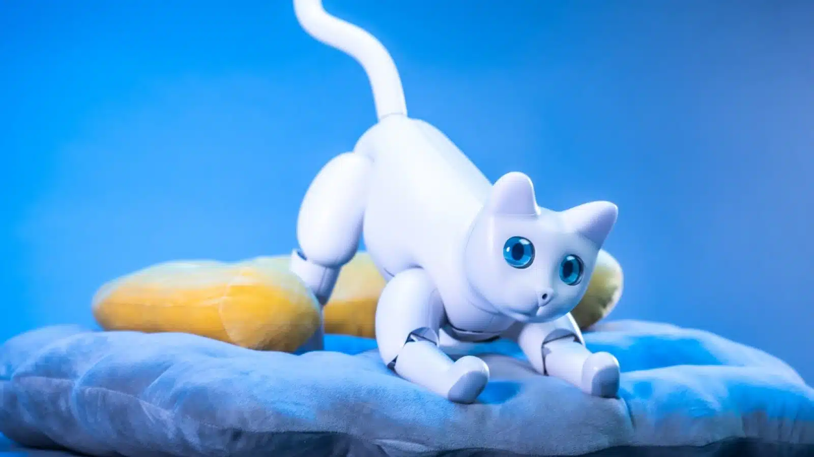 robotic cat on pillow