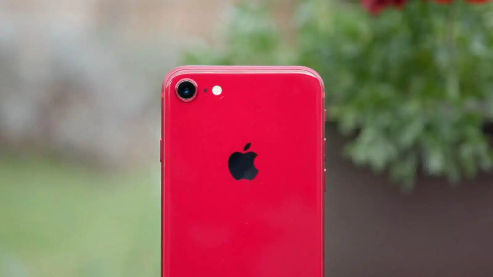 iphone se on blurred background