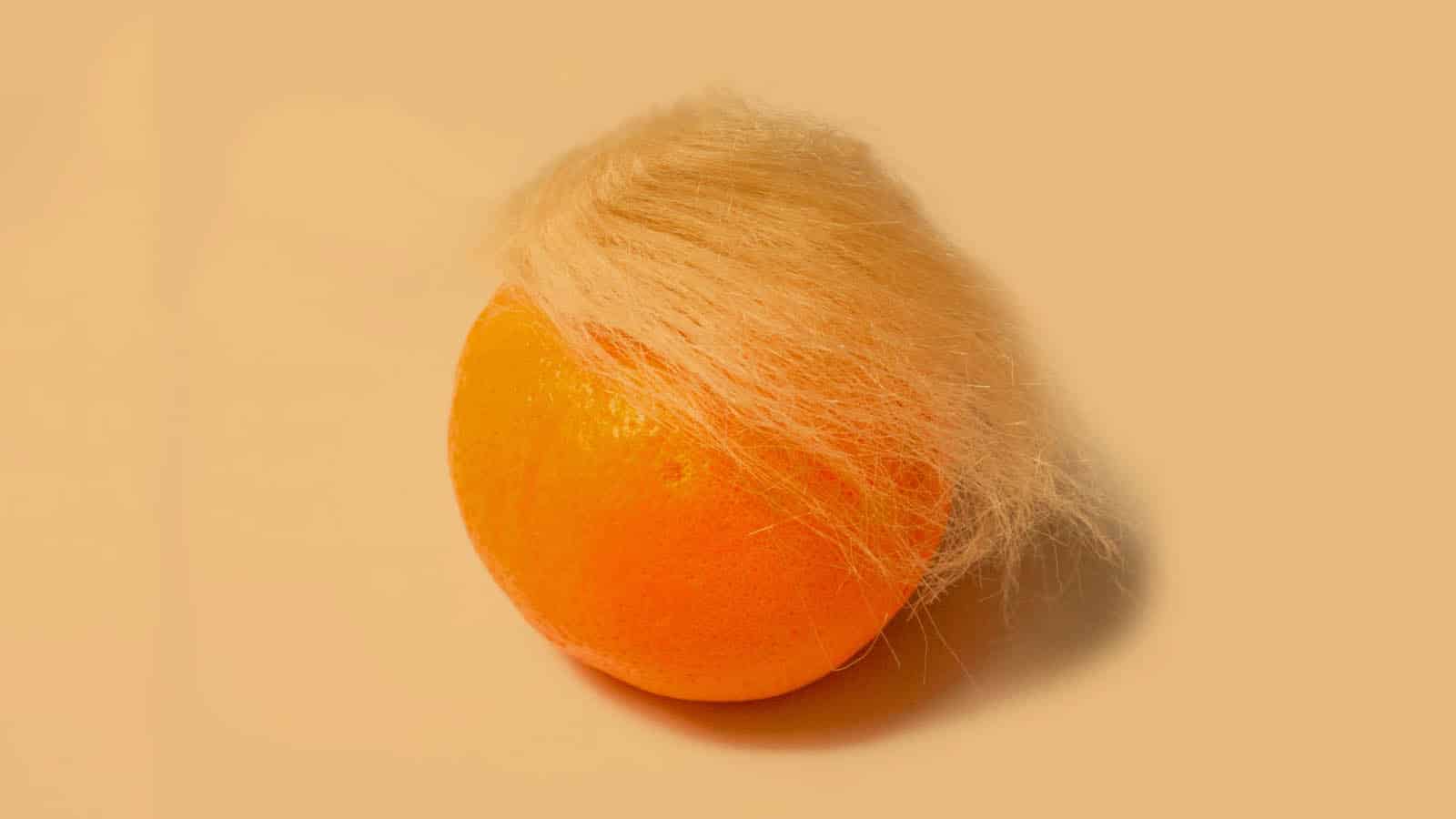 Donald trump as an orange