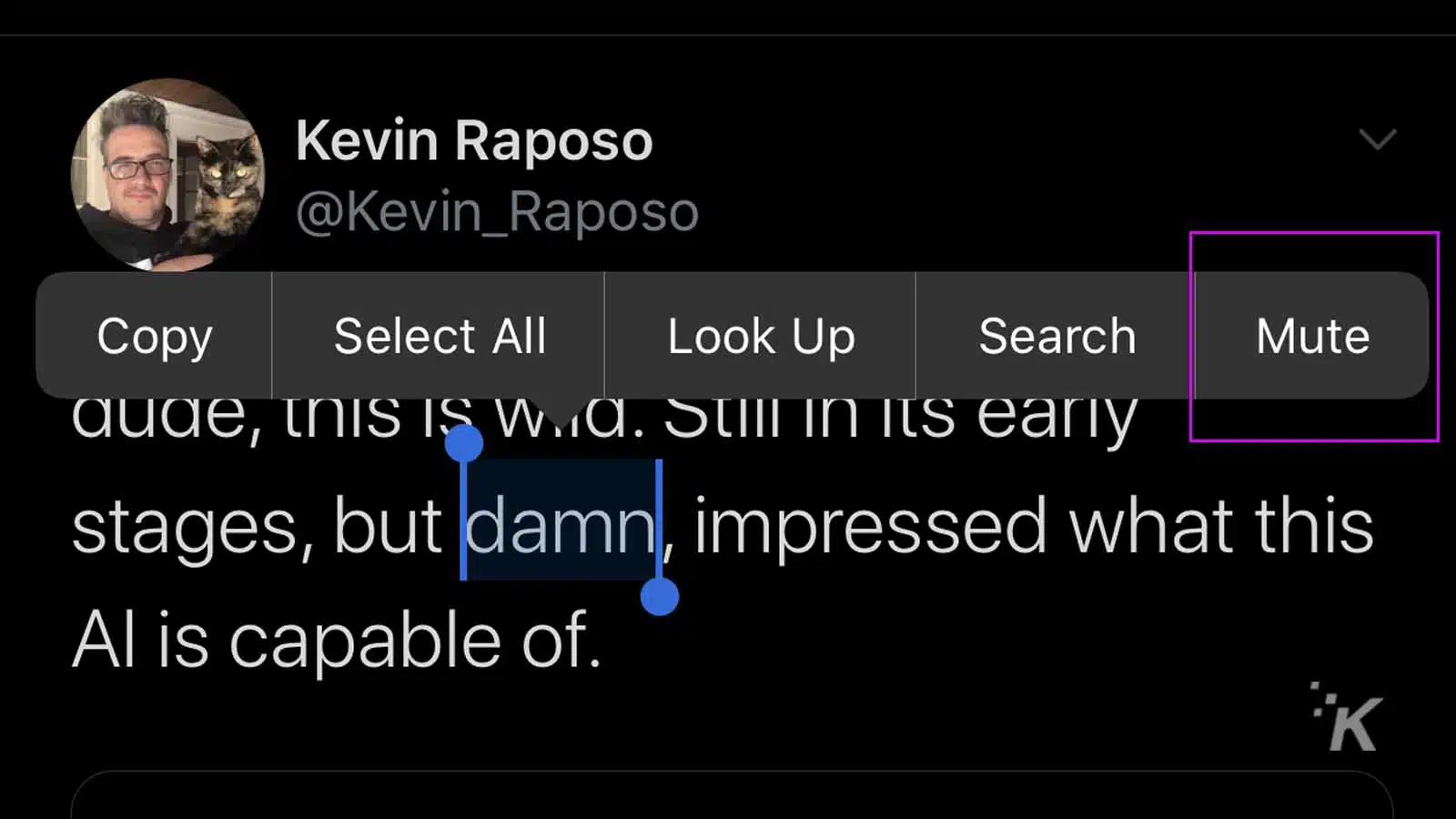 How to mute words and phrases on Twitter KnowTechie