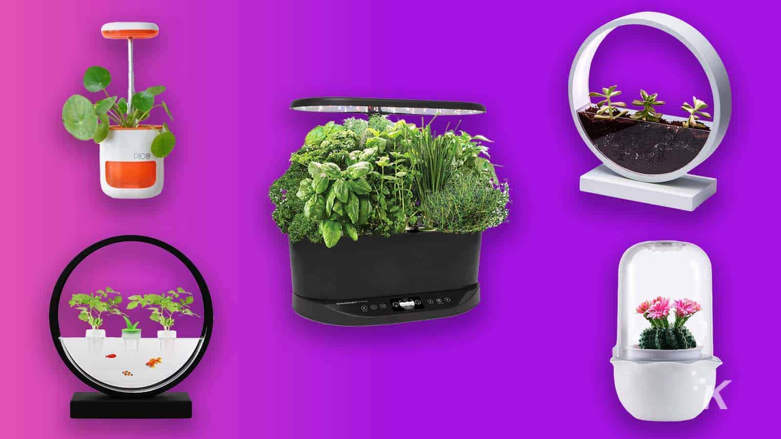 best indoor gardens