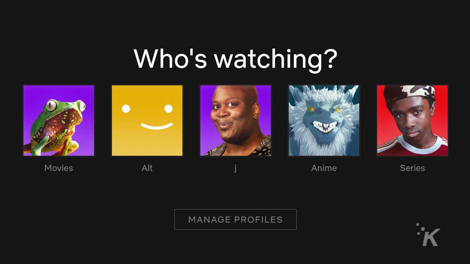 Different netflix profiles