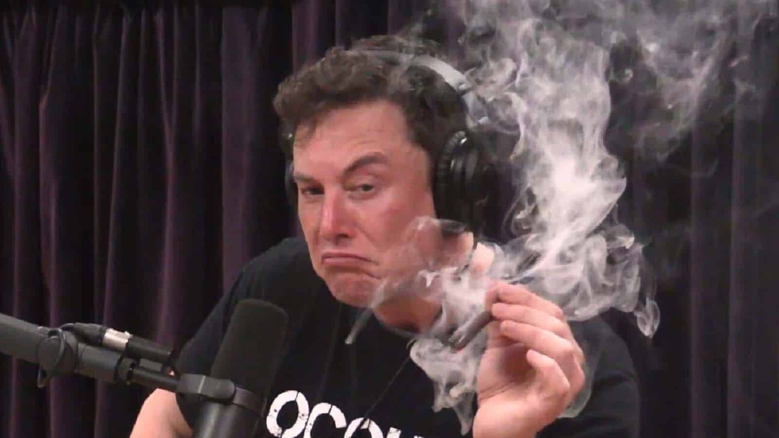 elon musk smoking weed