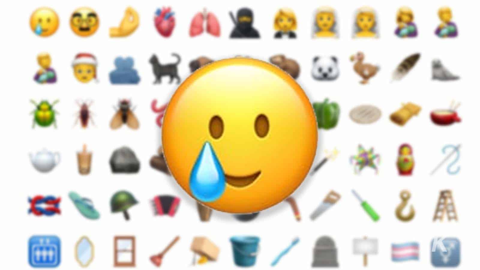 apple update 14.2 emojis