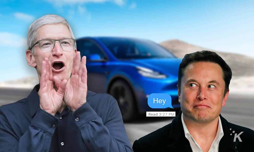 tim cook and elon musk