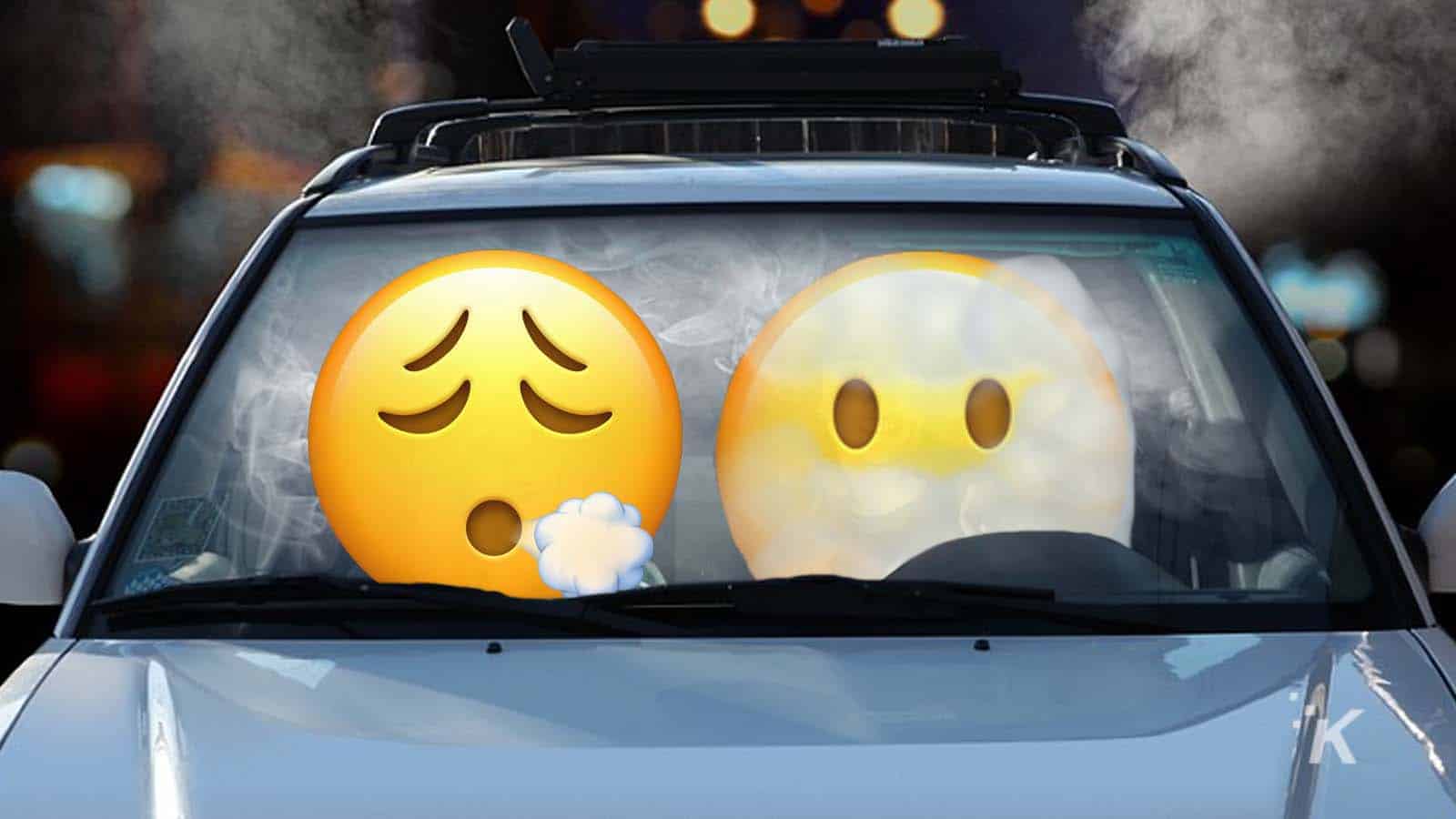 new emoji ios 14.5