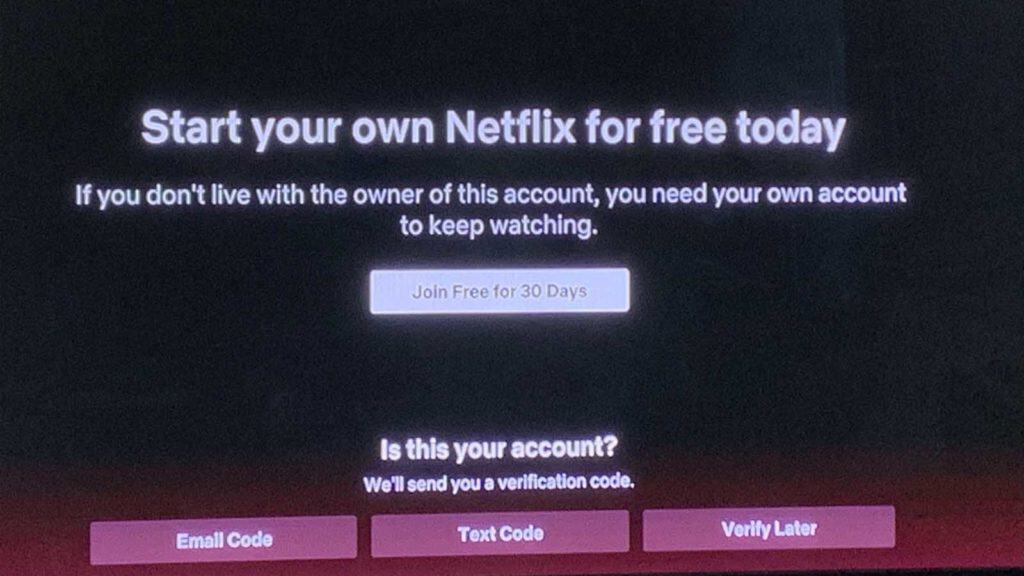 Netflix password sharing