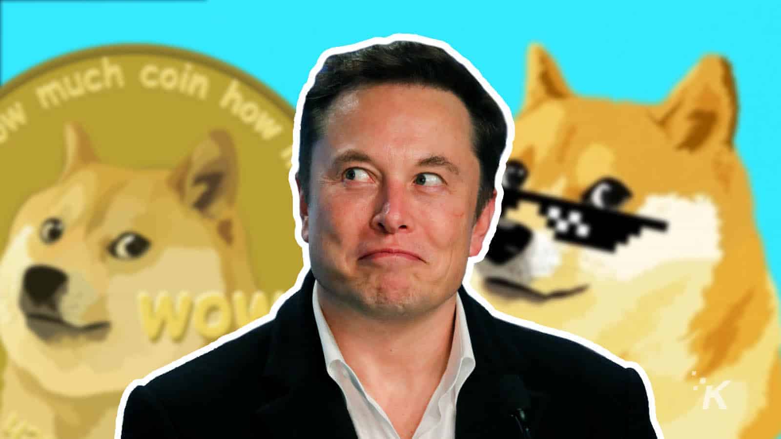 Elon musk dogecoin