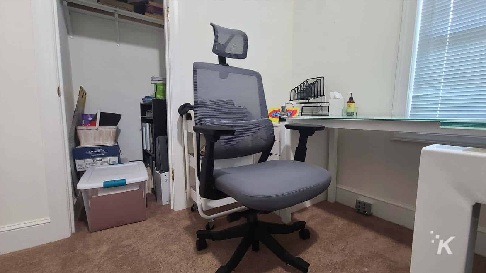 FlexiSpot Soutien Ergonomic Office Desk Chair Grey