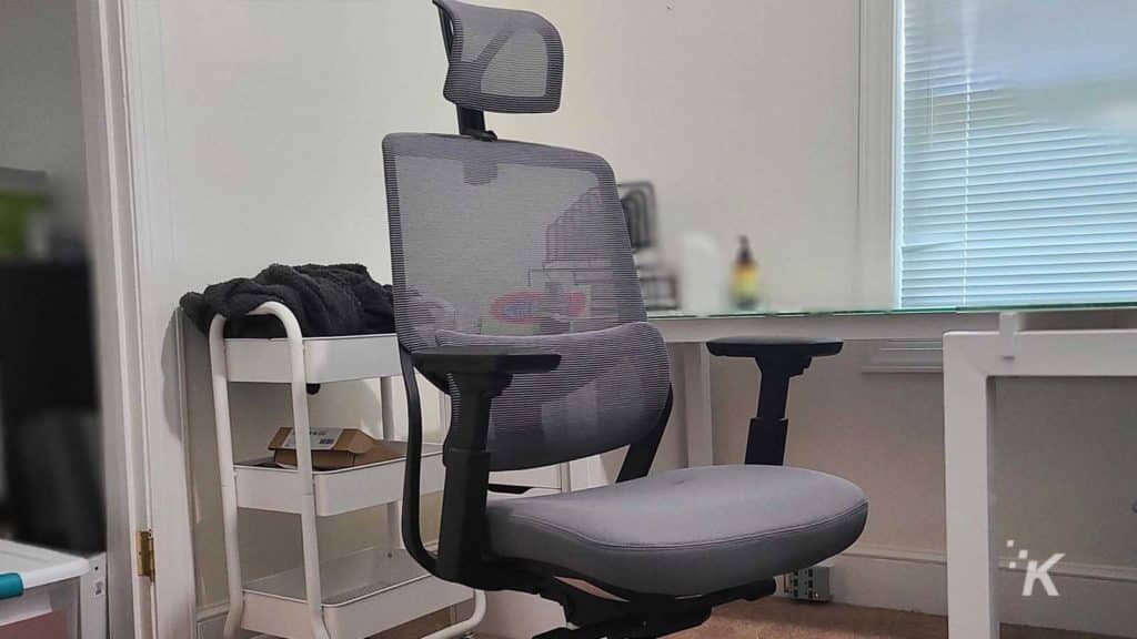 FlexiSpot Soutien Ergonomic Office Desk Chair Grey