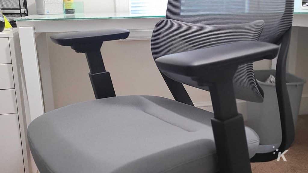 Flexispot office chair