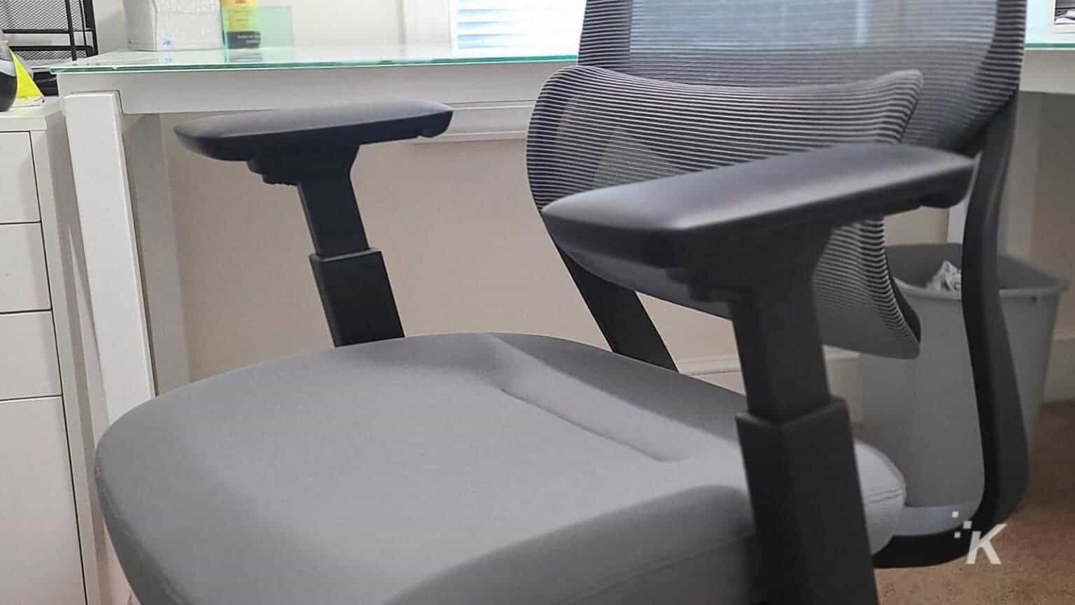 Review Flexispot Soutien ergonomic office chair KnowTechie