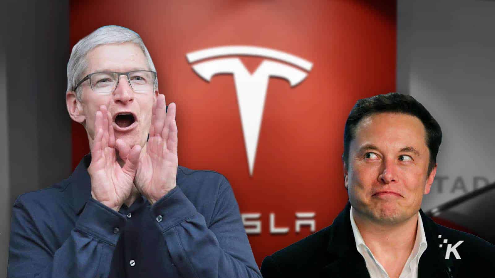 tim cook and elon musk