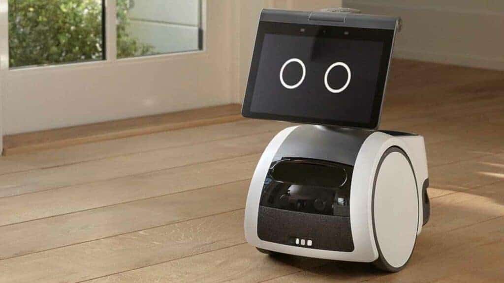 Tired of cooking, cleaning and other household chores? Robot servants are  coming