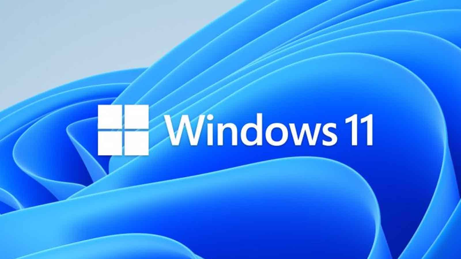 Windows 11 logo