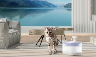 petlibro-capsule-fountain