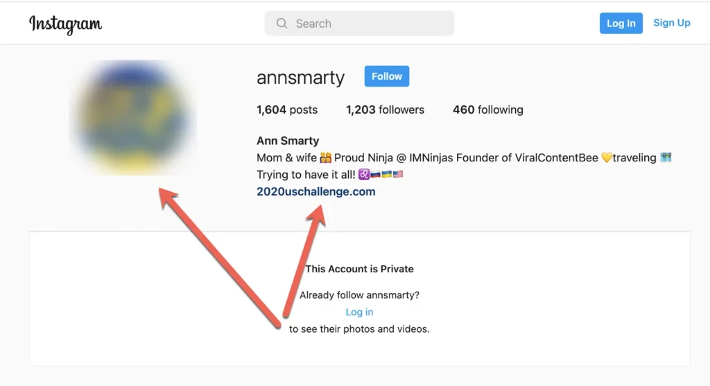 Ann smarty instagram account with red arrows pointing to bio