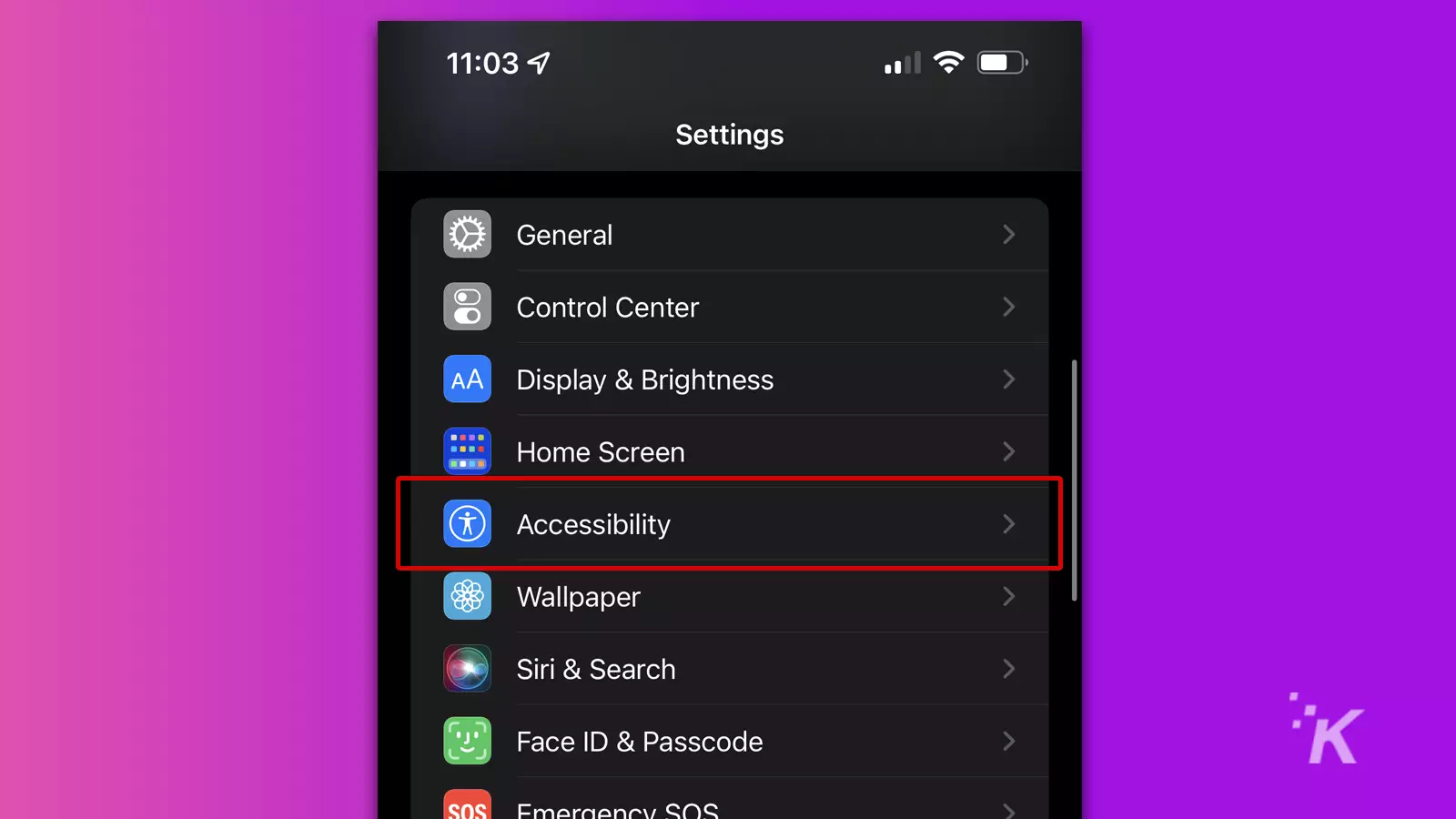 Settings menu showing accessibility option