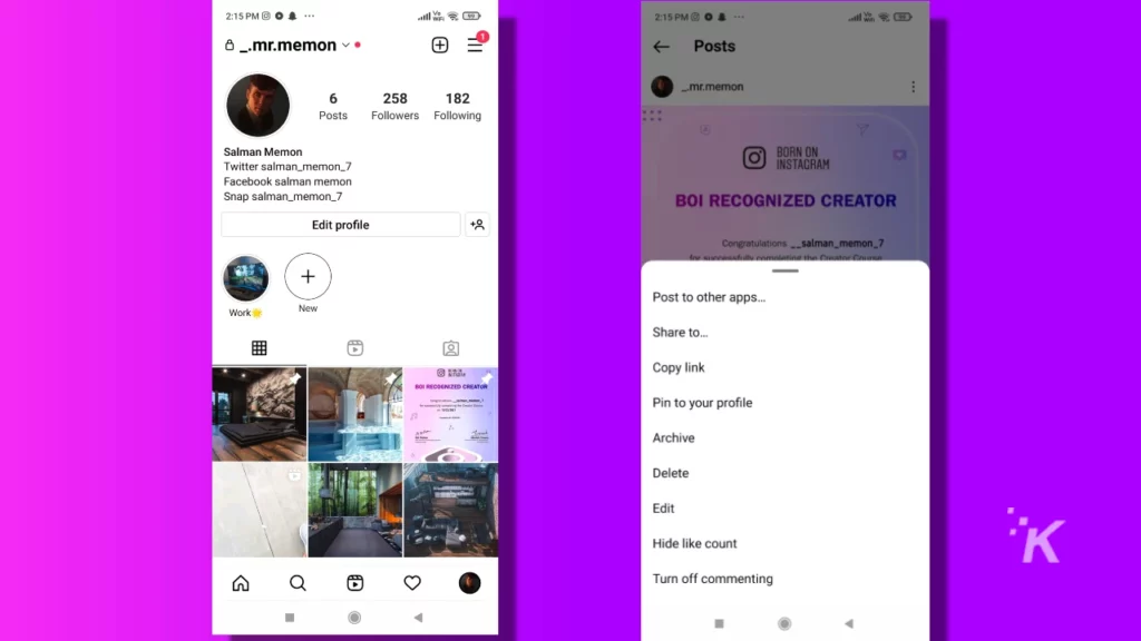 Image of instagram's pin to profile test