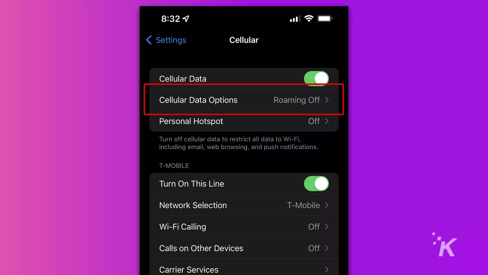 cellular data options with roaming options on iphone