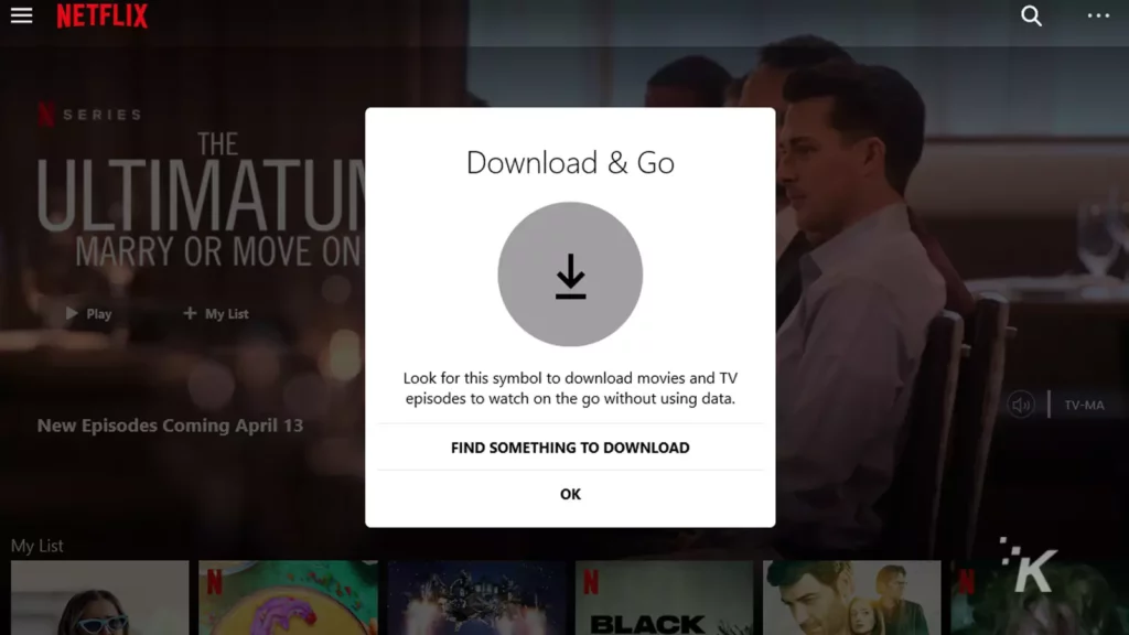 Netflix app showing download prompt