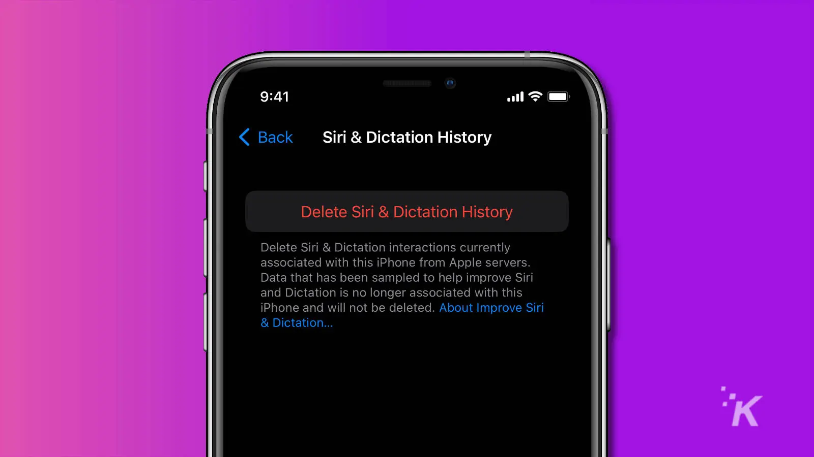 screenshot of delete siri and dictation history button