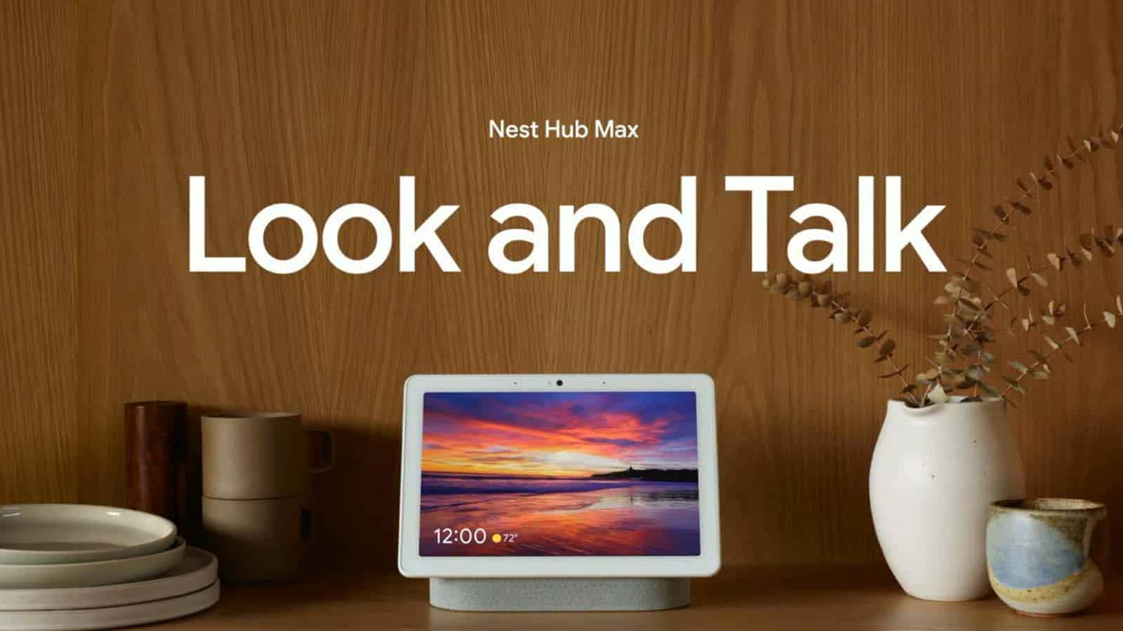 Google nest hub look and talk